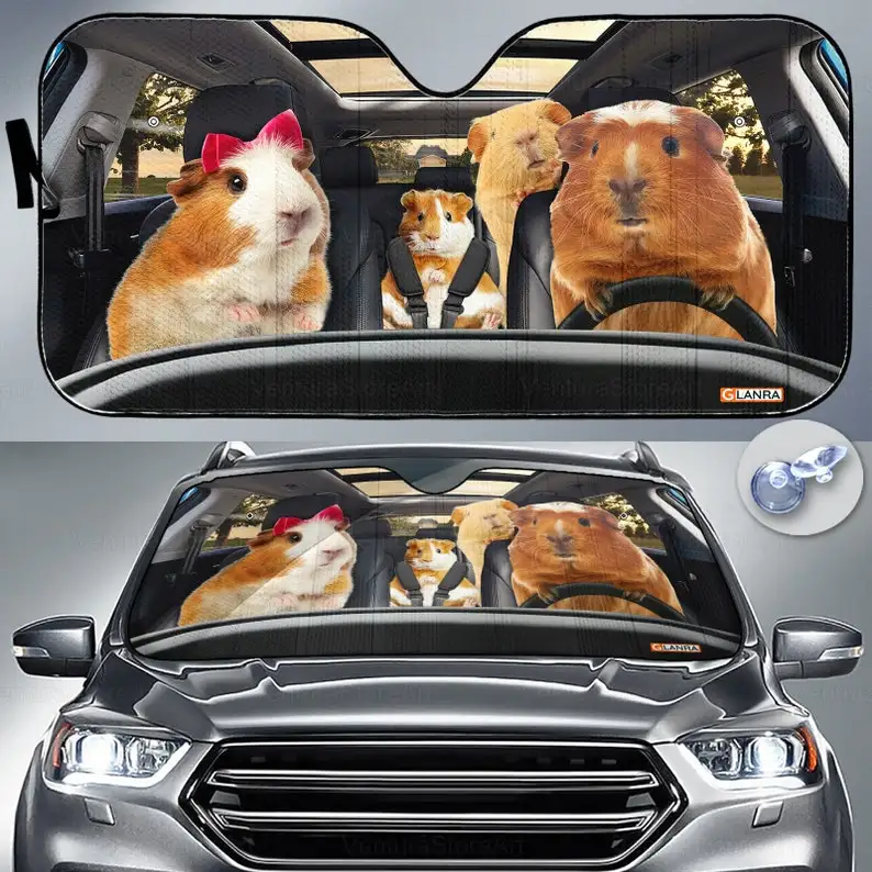 Parasole per auto cavia, parasole per parabrezza per auto, accessori per auto per porcellini d'india, decorazione per auto, regalo per lui, amante della cavia PHT