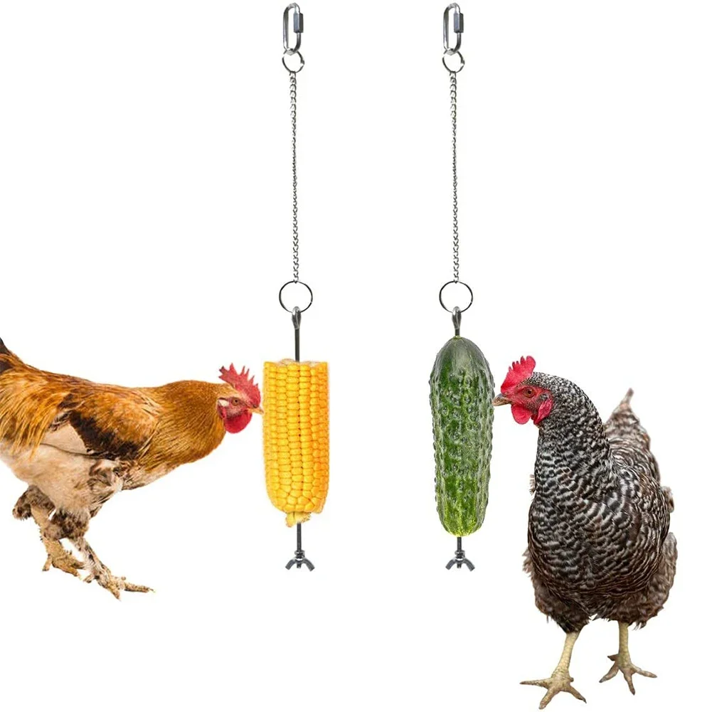 Alimentador de acero inoxidable para loros y mascotas, tenedor de fruta y maíz, juguetes, soporte para pollo y verduras, palo de alimentación colgante, accesorios para comedero para mascotas