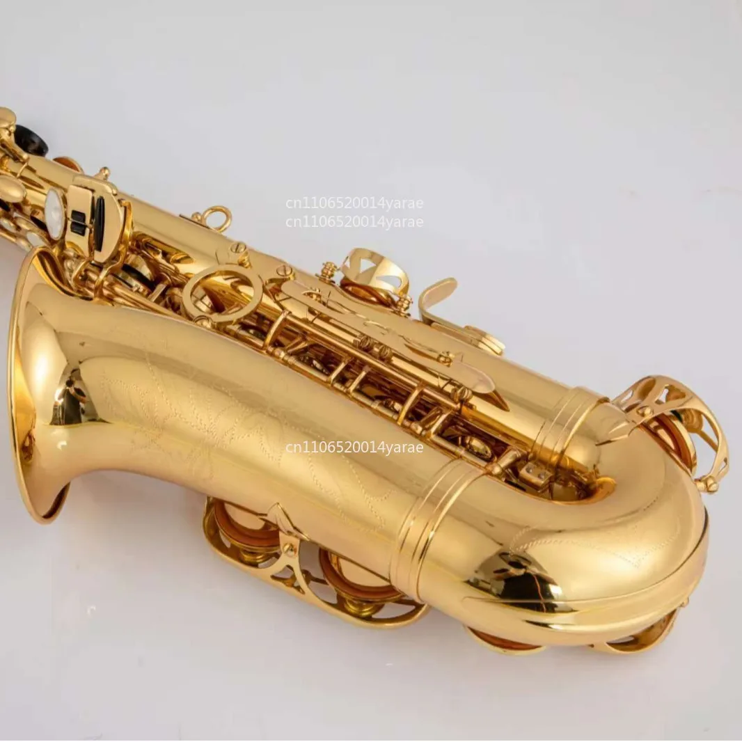 Saxophone Musical Instrument E Flat Alto Wind Instrument Beginner Entry Level Tutorial Chromatic Brass