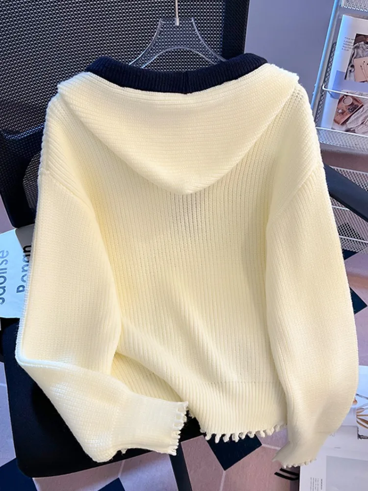 Sudadera con capucha Premium Feel Color Blo, prendas de punto para mujer, prendas de vestir exteriores, capa Base, combinación interior, Otoño Invierno, nuevo diseño Sle auto mantenido