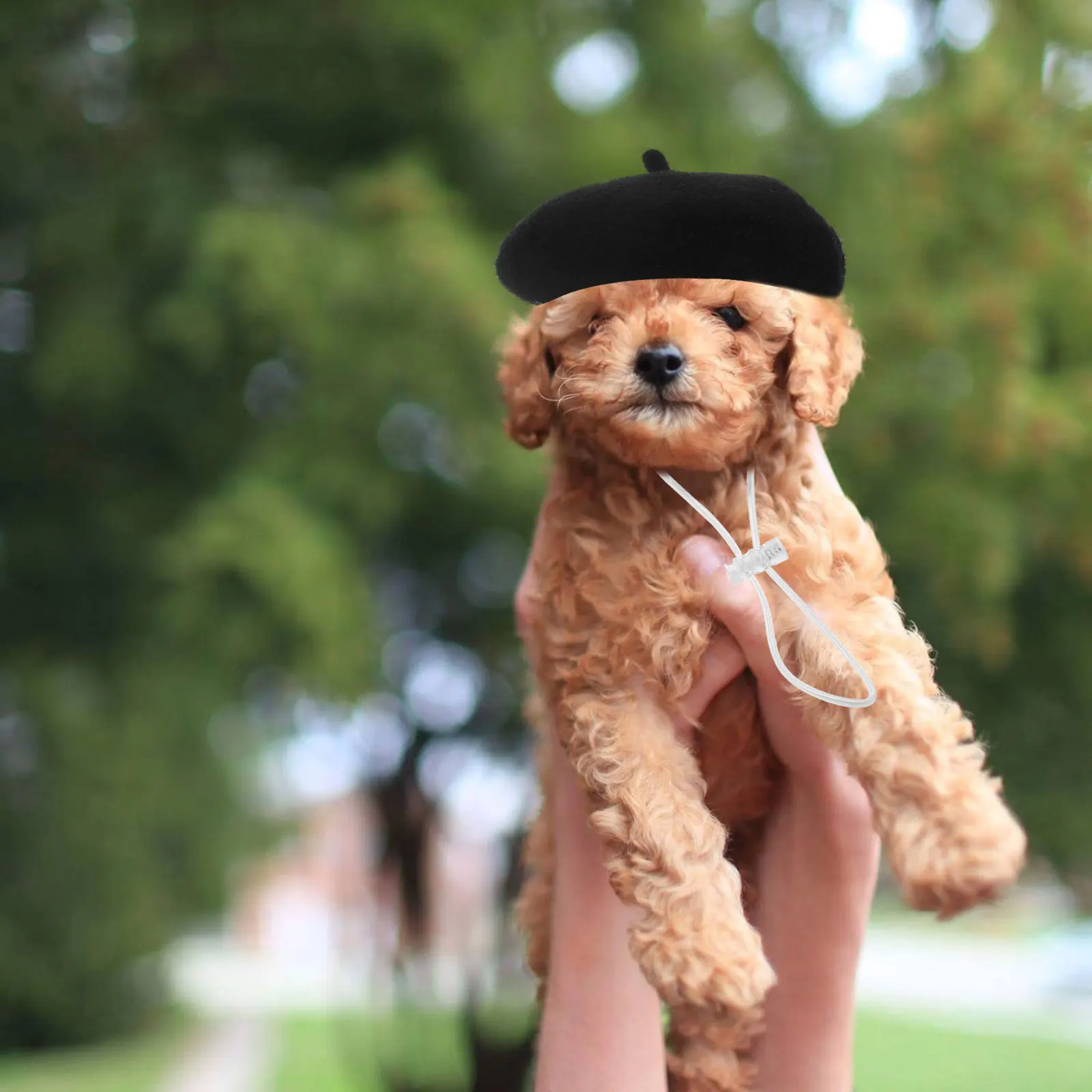 

Cute Dog Beret Party Costume Birthday For Small Dogs Cats Decorative Headwear Cap Costume Accessories Cartoon Dog Pet Party Hat