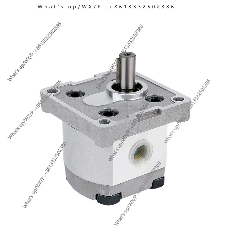 

Hydraulic oil pump Miniature high pressure gear pump
