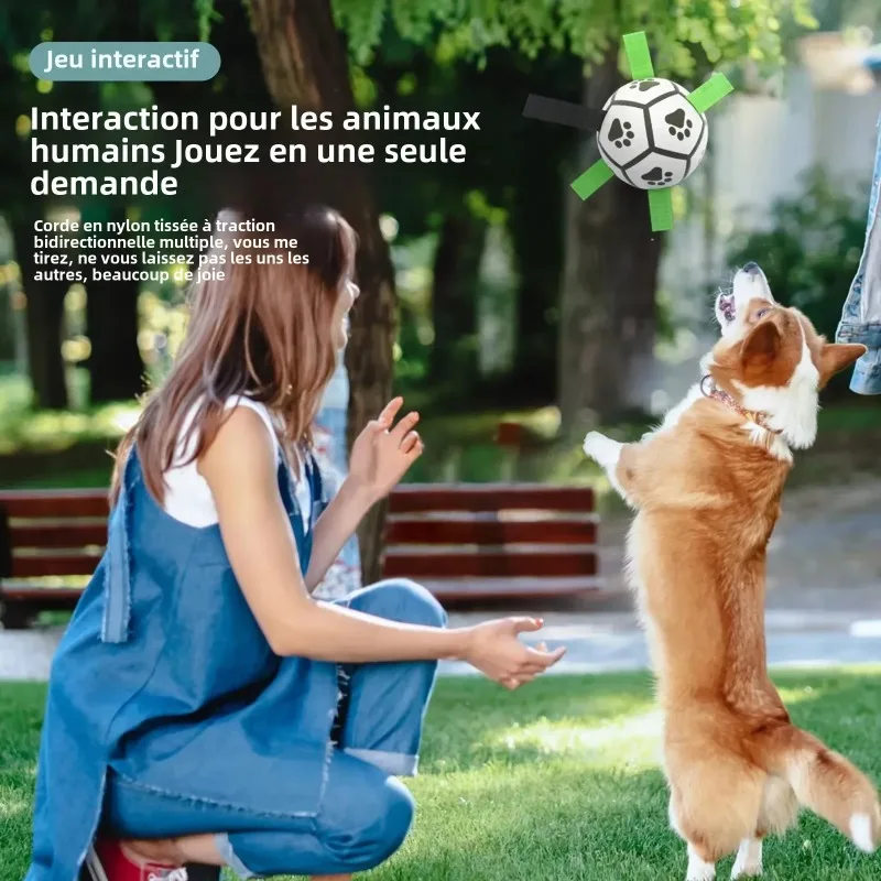 Thumbnail 3 - #16 Top 50 Dog Fetch Toys Worth Buying In 2026