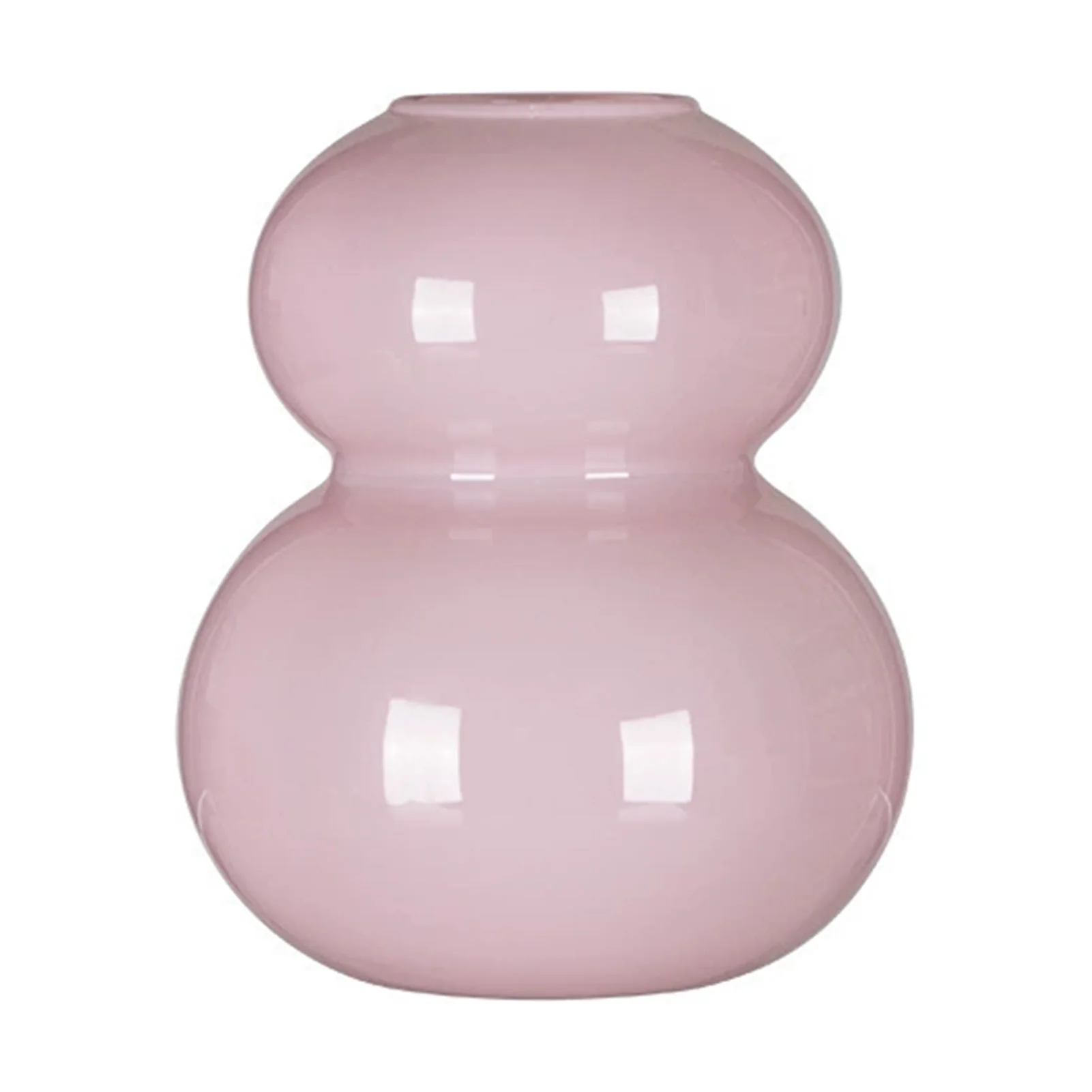 Glass Vase For Hydroponic Plants And Dried Flowers Decor With Calabash Design