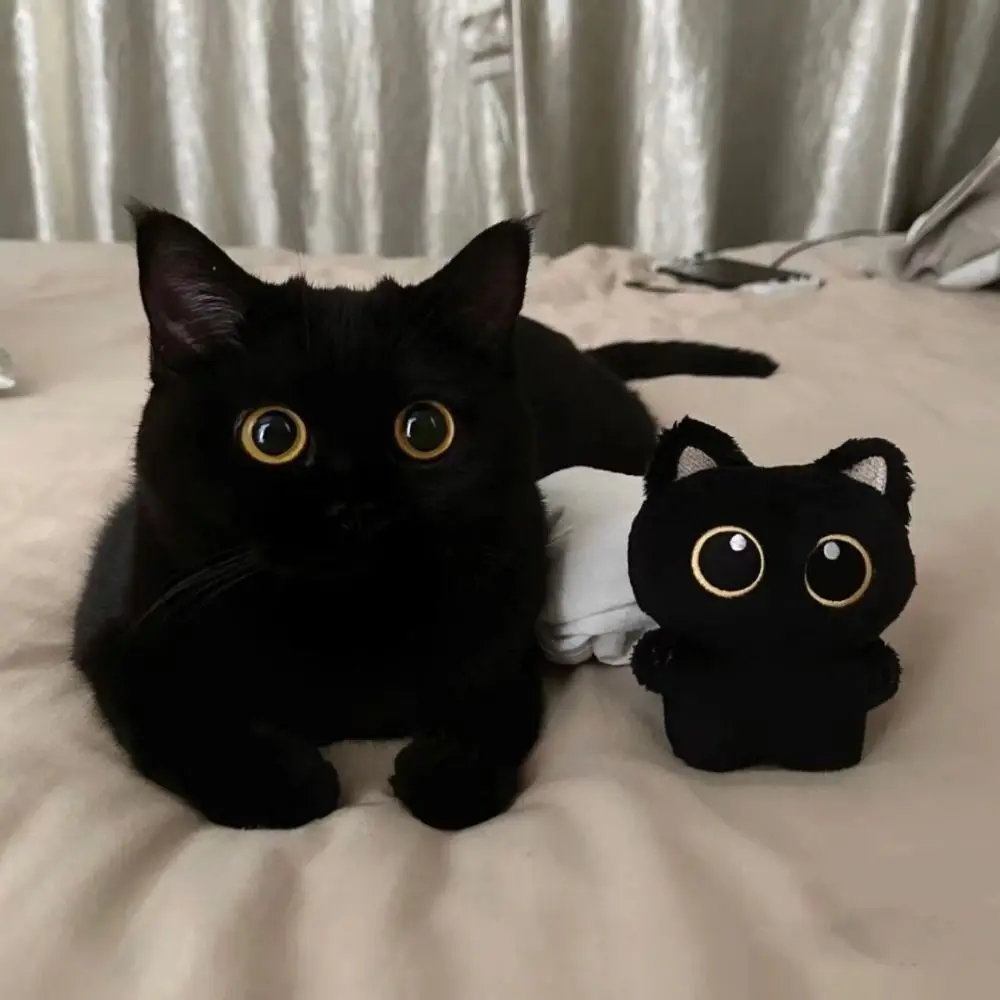 Simpatico portachiavi con bambola di peluche, decorazioni per il desktop, portachiavi con gatto dei cartoni animati, ciondolo per bambole regalo nero