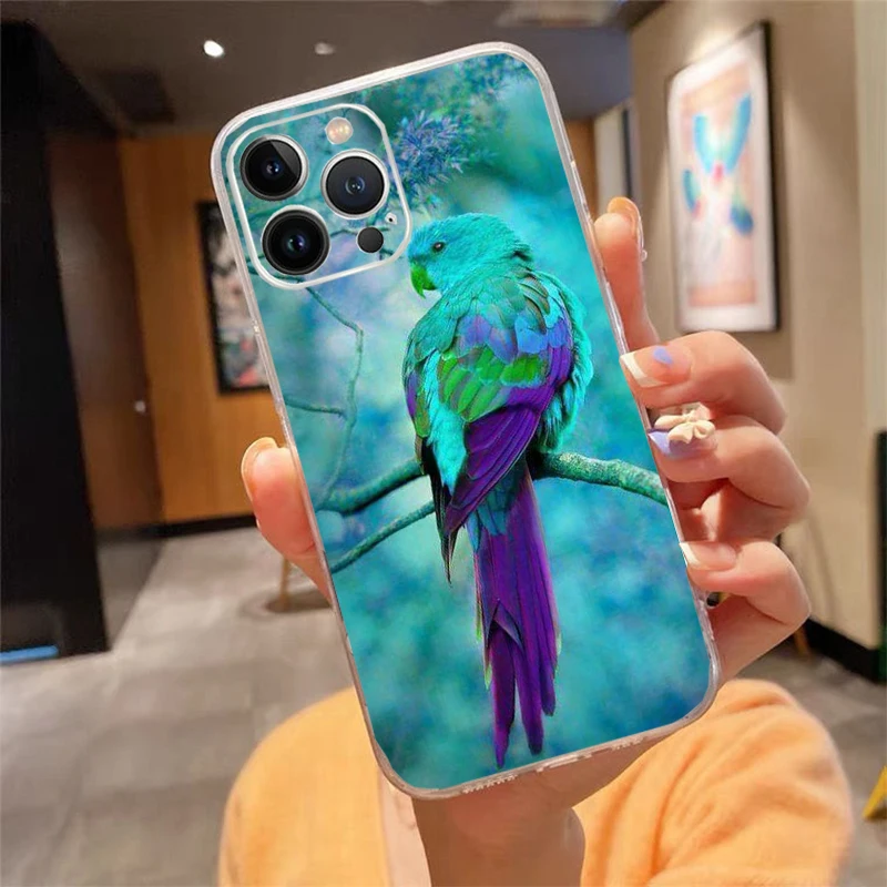 

Phone Case For iphone 17 Pro Max Air 17 16 15 14 13 Pro Max 15 16 Pro 15Plus Parrot Bird