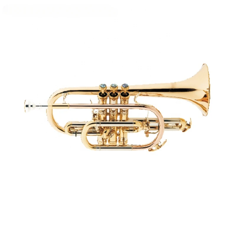 

Good Quality Lacquer Gold Brass Bell Bb Tone Cornet (JCR-250)