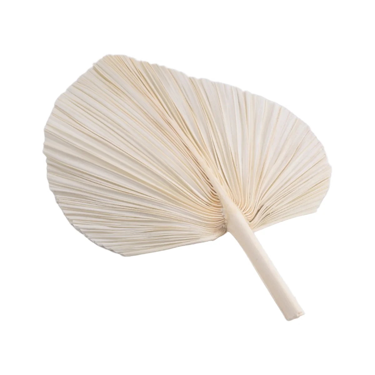 Folhas de palmeira secas brancas qualitativas grandes - qualidade premium - 3 peças elegantes e modernas de decoração boho para casa e casamento - arte de parede