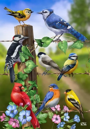 Country Birds Spring House Flag Goldfinches Blue Jay 28