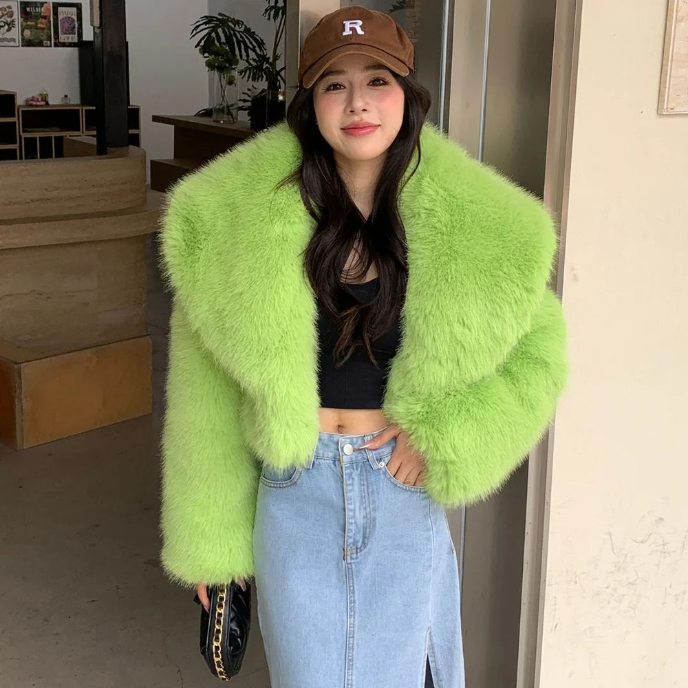 Short Winter Fur Jackets Turn-down Collar Plush Coats Women Fashion 2024 Thick Faux Fur Coats Furry Outerwear Streetwear