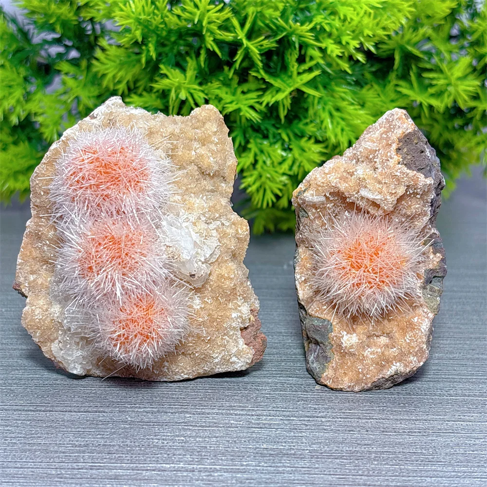 Dandelion Stone Flower Raw Specimen Natural Crystal Lucky Quartz Stone Garden Reiki Gifts Healing Energy Love Home Decoritem