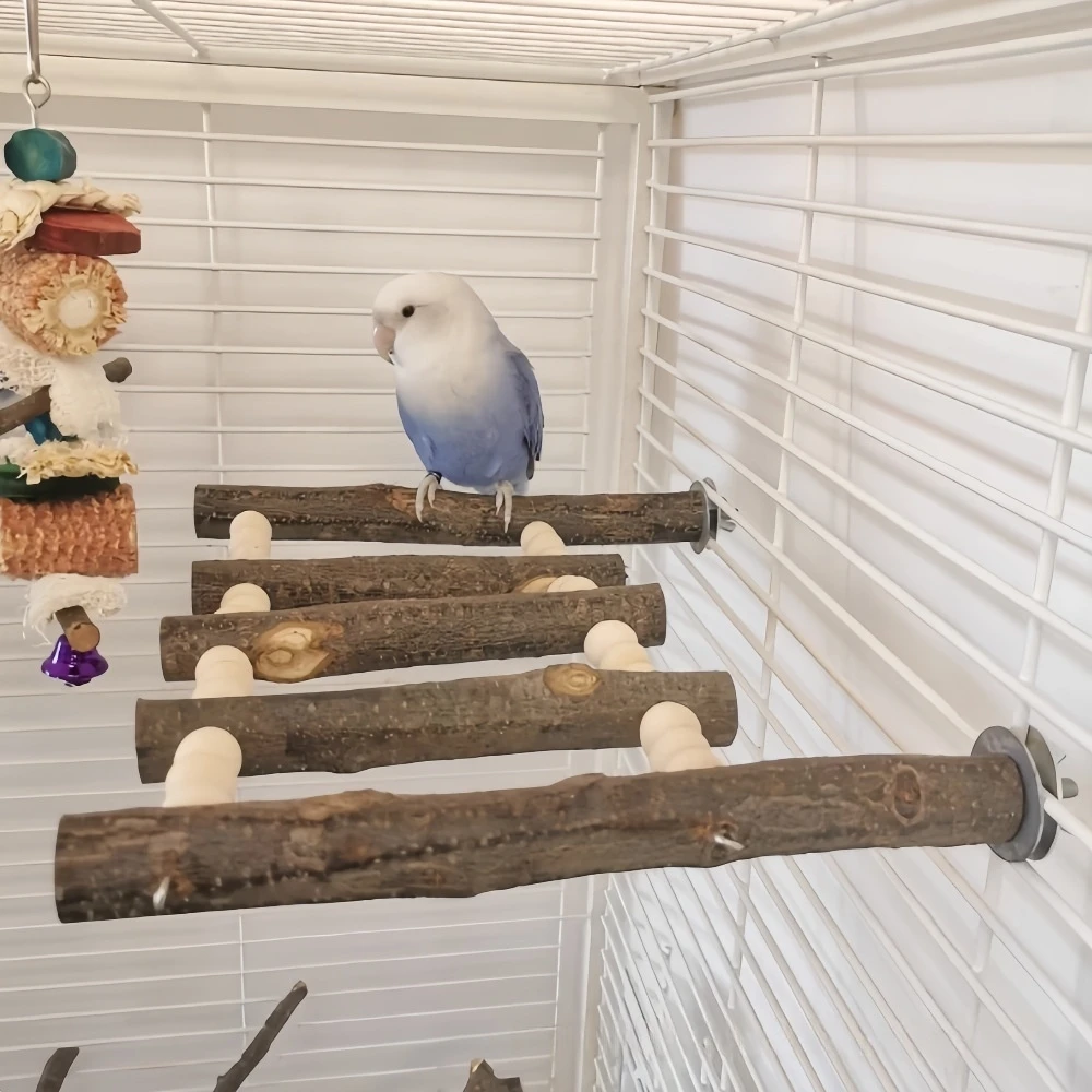 Parrot Platform Perch with Beads Multi Branched Bird Standing Station for Budgie Cockatiel Conure Cage Accessories