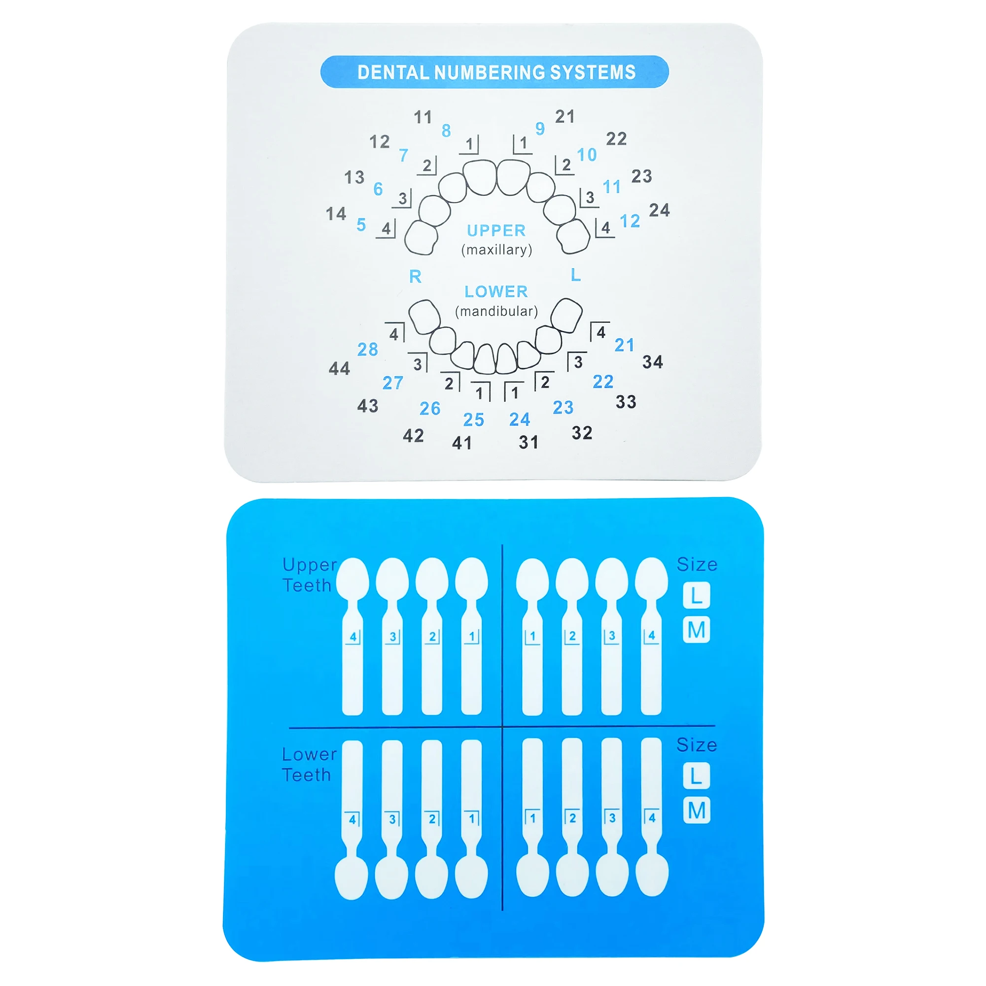 32pcs/Set Dental Veneer Mould Kit Composite Resin Mold Light Cure Autoclave Anterior Front Teeth Mould Teeth Whitening Tools