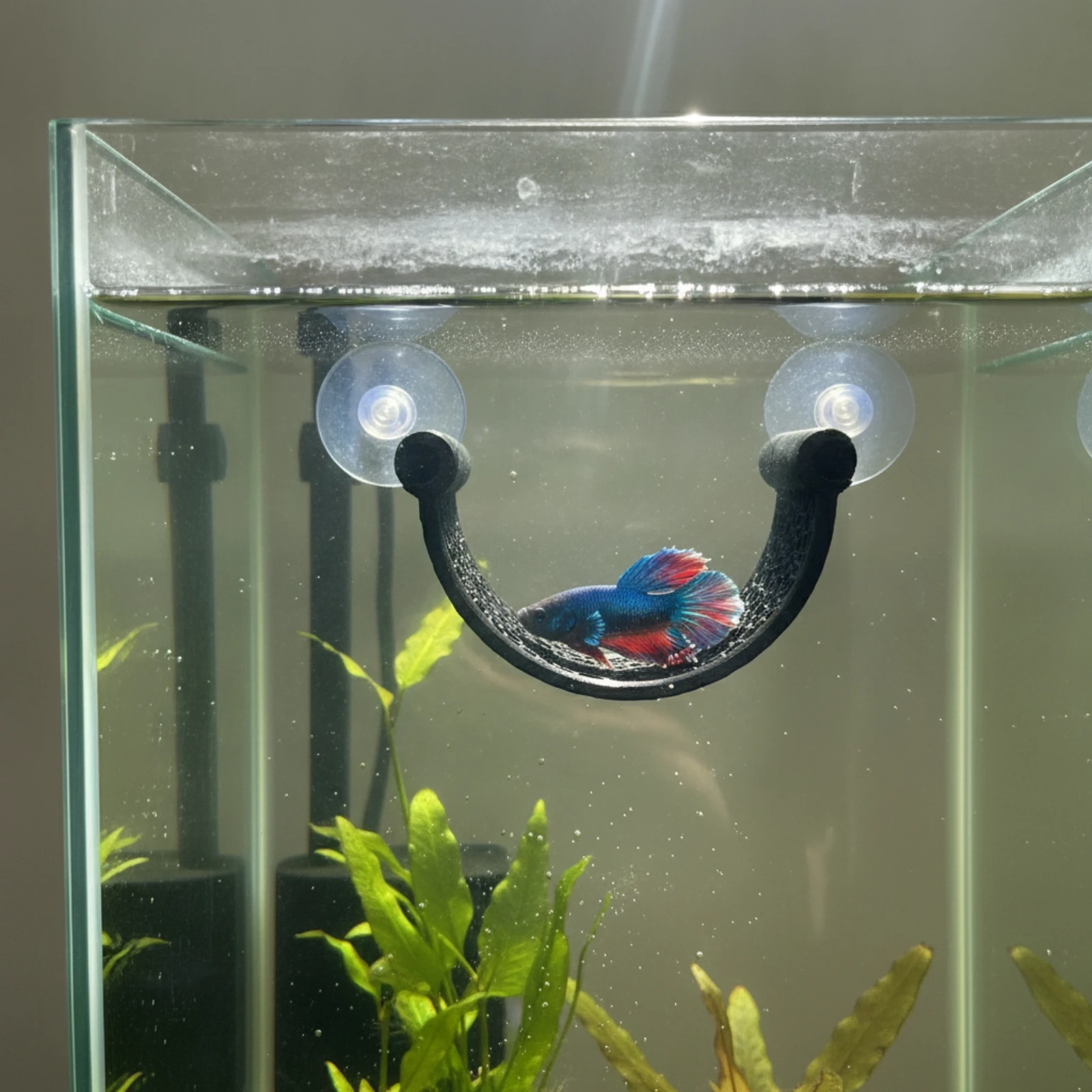 Betta Aquatic Resting Perch U- - Aquarium Planted Setup recensie en prijs