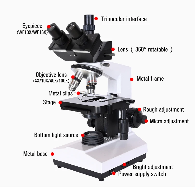 zoom 1600X trinocular microscope biological Lab Laboratory Double-layer mechanical platform ABBE Condenser led Light microscope