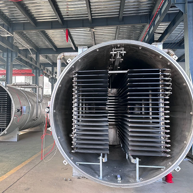 Automated Vacuum Freeze Dryer  for Fruit/Vegetable Preservation for Fruit Vegetable Food Drying Equipment Customized