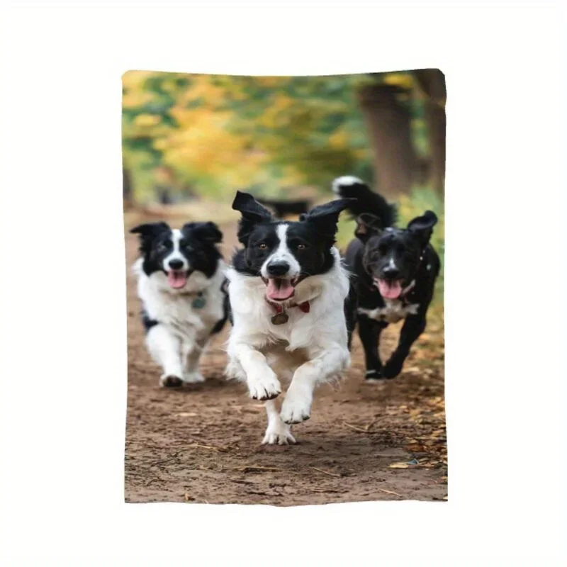 

Modern Flannel Blanket - Heavyweight 280gsm Ultra-Soft Cozy Warmth, Autumn Border Collie Dog Lovers Design, All-Season