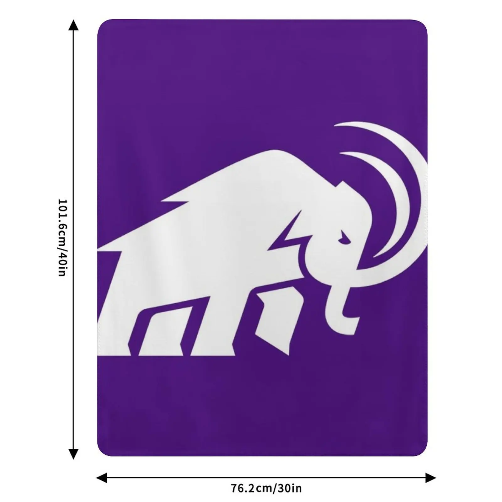 Amherst College Throw Blanket Flannel Thin wednesday Cute decorative Thermal Blankets