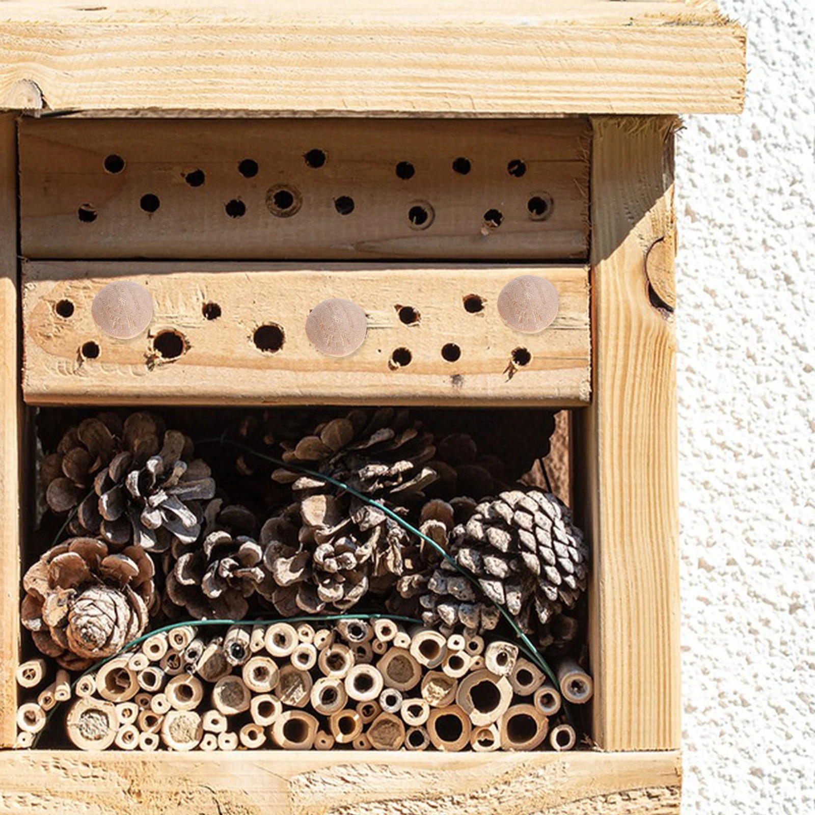 

100pcs Wood Beehive Plugs Carpenter Solid Replacement Furniture Hole Covering Easy Install Reusable Versatile Wooden Products