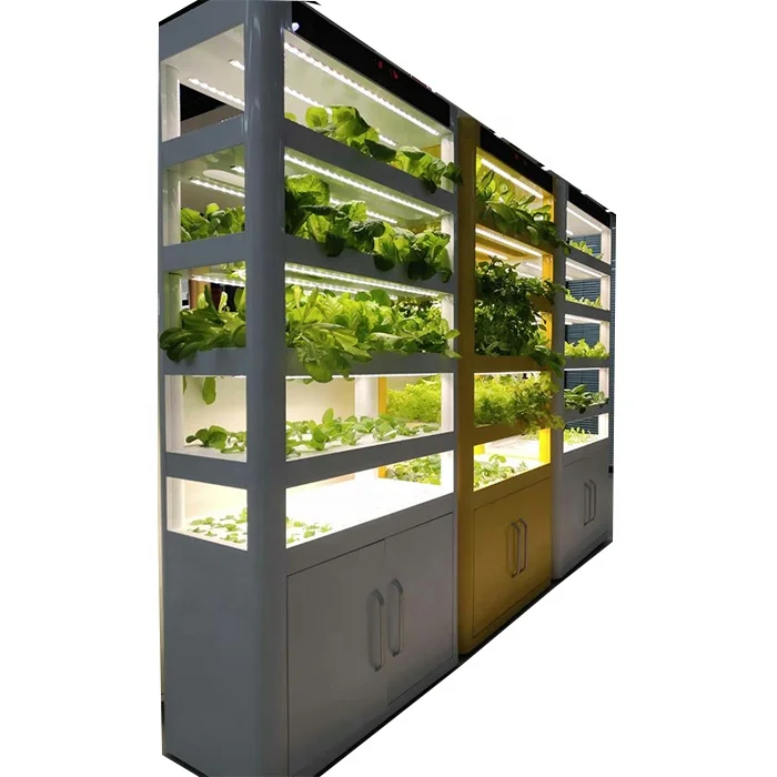 New Product Hydroponic Float Trays Growing Vegetables Seeds Trays Growing Machine