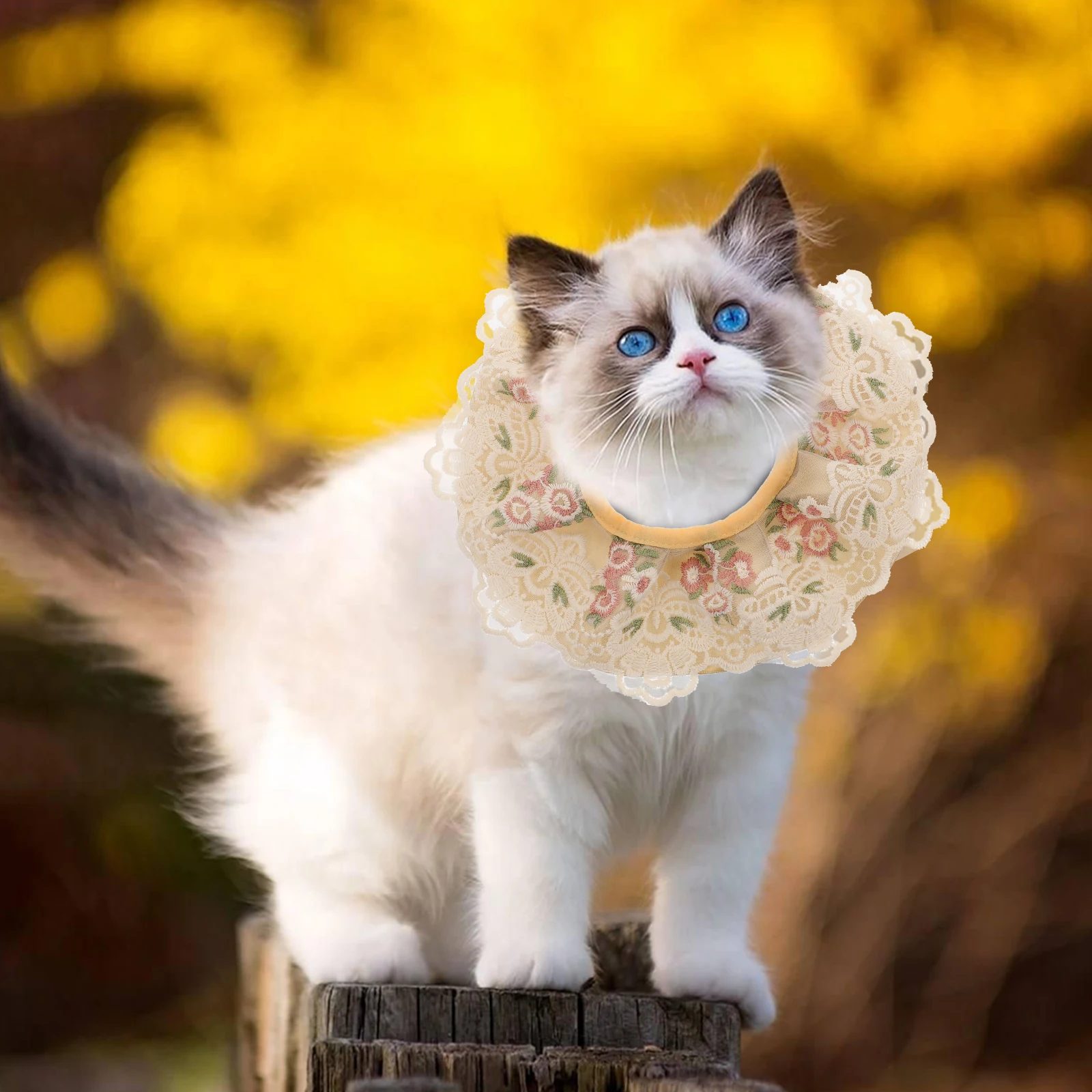 

Lace Embroidery Dog Scarf Washable Pet Bibs Elastic B for Puppies Cats Teeth Growing Birthday Gift Pet Accessories