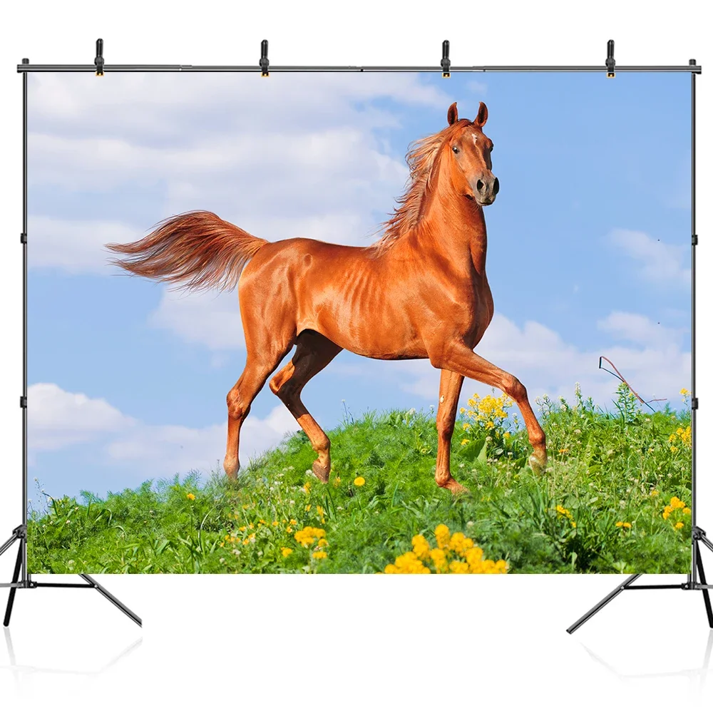 Bonvvie Photography Background Grassland Blue Sky Cloudy Running Horse Children Photocall Backdrop Photozone for Photo Studio