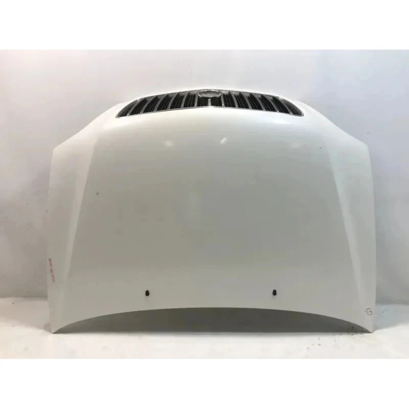 High Quality -0 -0 00 0 0 0 Rx00 Bonnet Sub-Assembly Engine Hood Panel Auto Parts