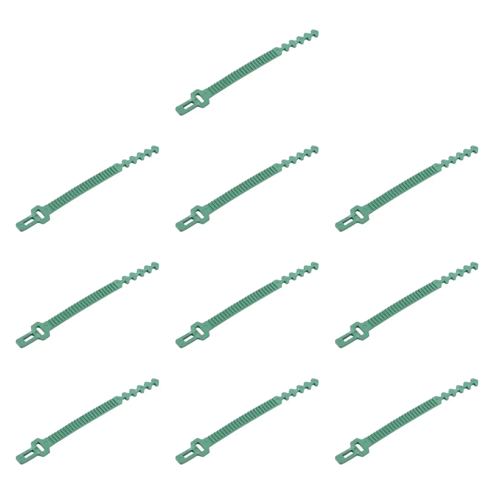 10x Plant Ties AntiSlip Multifunction Lightweight Plant Support Straps Gardening Tools for Backyard Shrub Lawn Rose Indoor