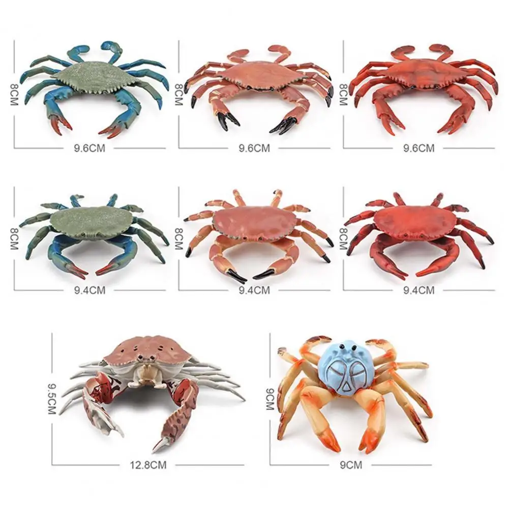 Simulation Animal Model Durable Animal Cognition Toy Realistic Aquarium Miniature Crab Cognition Education Toy Practical