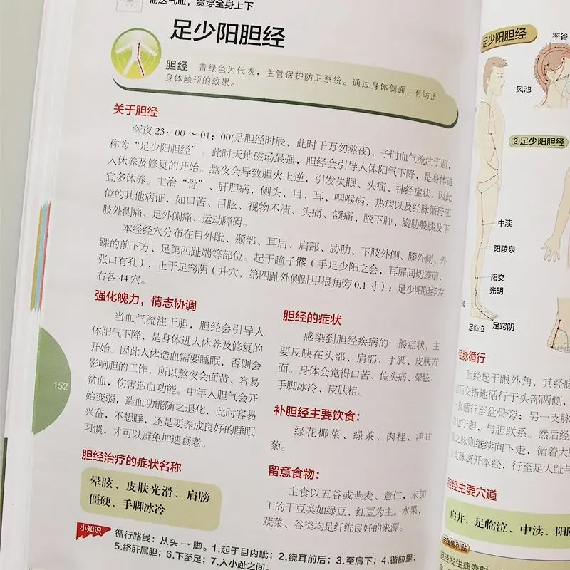 Practical Traditional Chinese Medicine Health Quick Check Human Body Meridians and Acupoints Diagram Zero Basic Massage Books