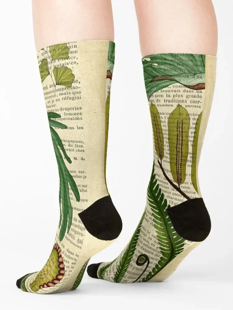 Botanical print on old book page - fern Socks fashionable crazy aesthetic loose Girl'S Socks Men's