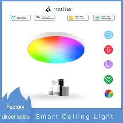 Matter WiFi Smart Ceiling Light With Dimming color Dimming,Works With Apple HomeKit Alexa Google