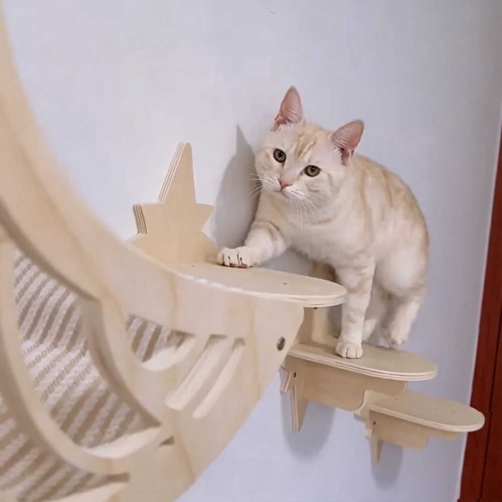 Mond & Stern Katzen-Wandregale: Moderner Holz-Katzenbaum mit Bett, Hängematte und Klettermöglichkeiten für Hauskatzen – Zubehör – Detail 11