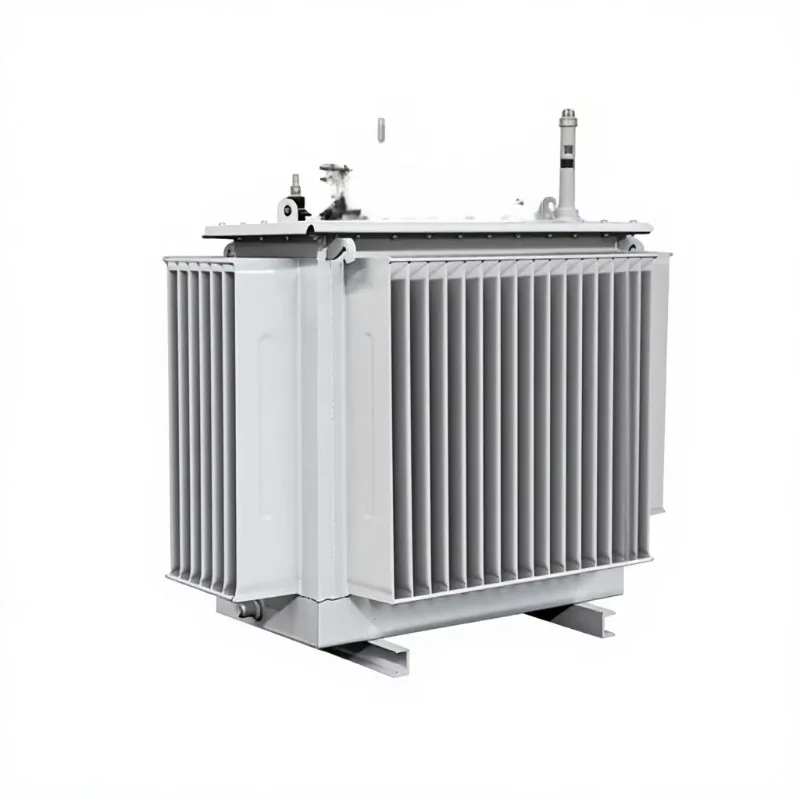 Outdoor S21 Oil Filled Distribution Transformer 10kV 11kV to 400V 100kVA to 1600kVA Electrical Power Unit