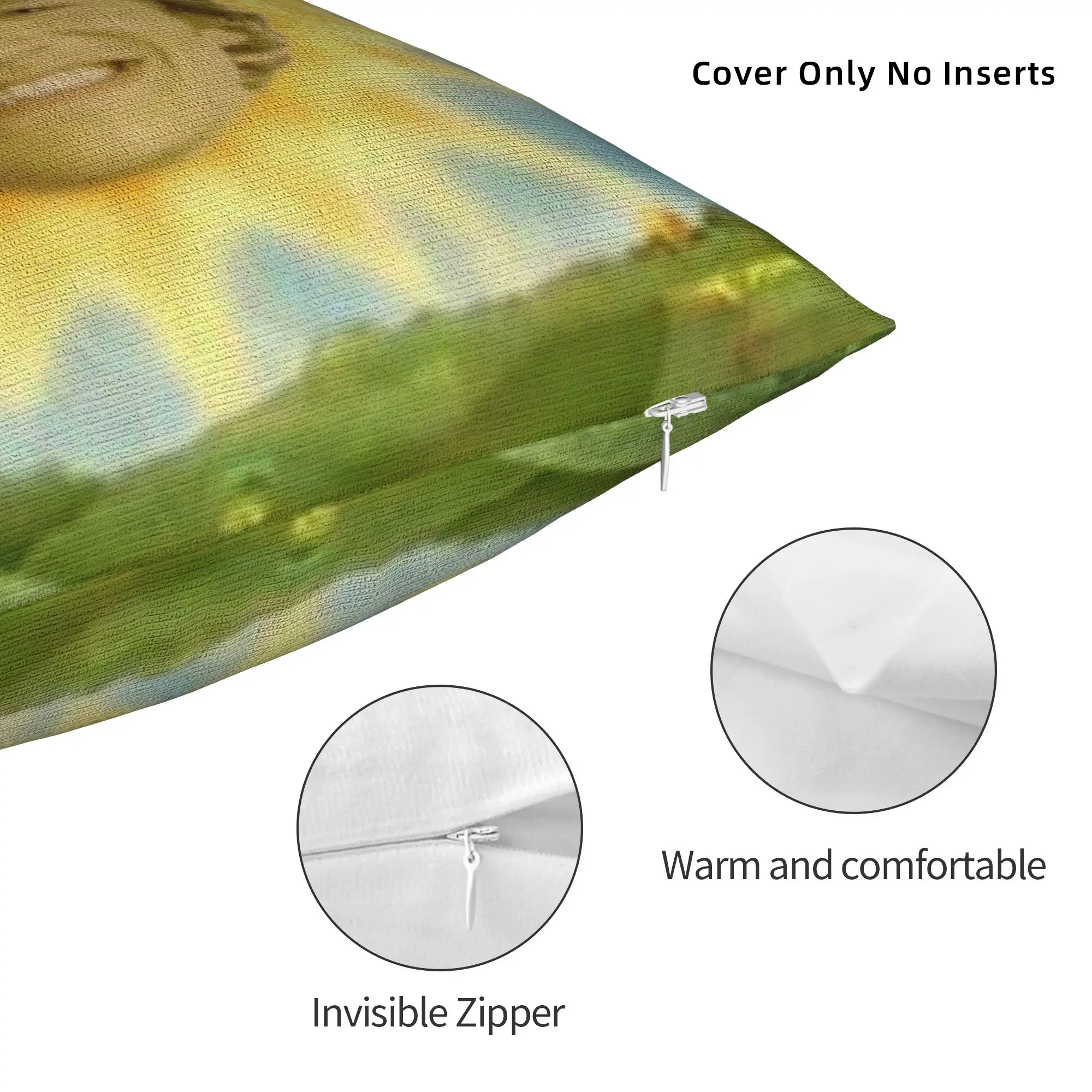 Soft Heated Rivalry Ilya Rozanov Reaction Photo Pillowcase Polyester Cushion Cover Decorations Cute Throw Pillow Case Cover Home