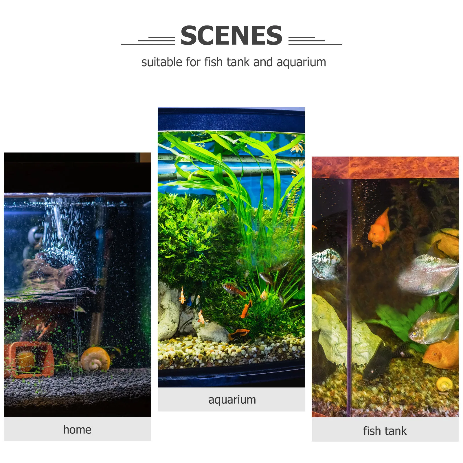 

Simulated Coral Aquarium Resin Coral Decoration Break Resistant Fish Tank Ornament Realistic Artificial Aquarium Decor