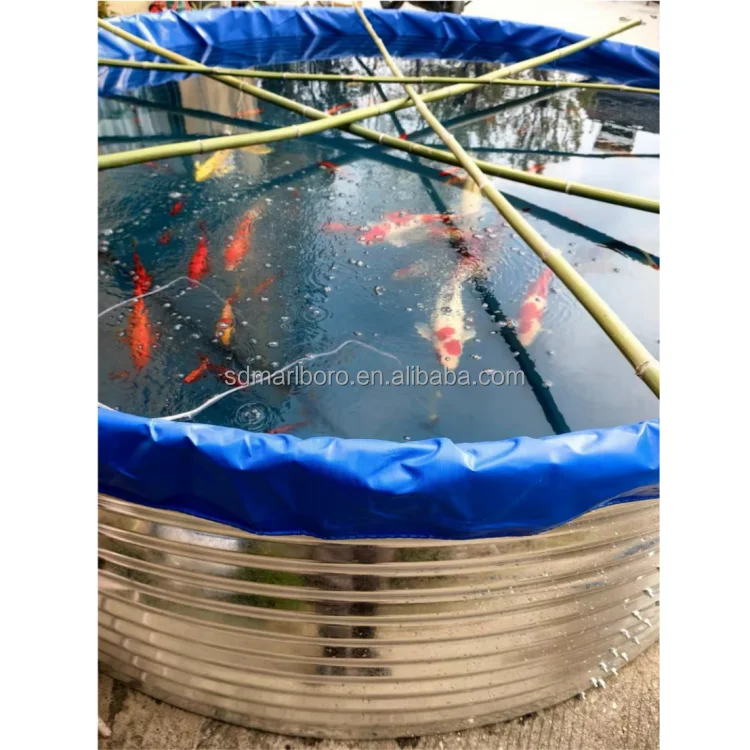 

Оборудование для аквакультуры: оцинкованные пруды для разведения тилапии в помещении