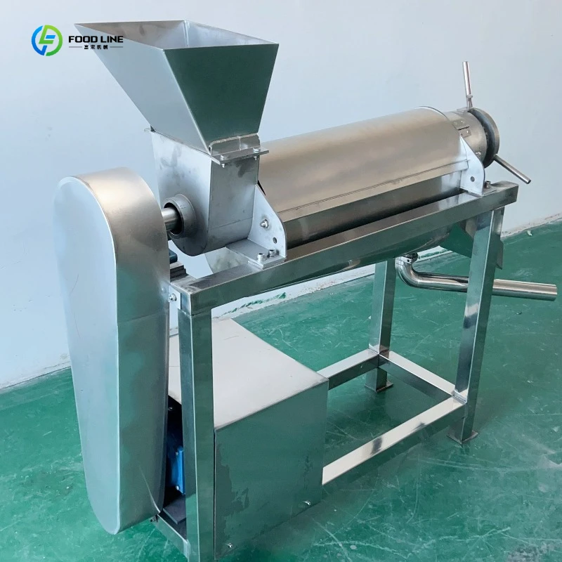 Screw Juicer Machine Food Grade Screw Type Juice Extractor for Business Use FL Customized