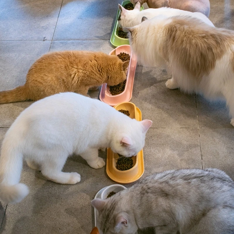 Cat Food Water Bowls 15ยฐ Tilted Single Dish 13.6\