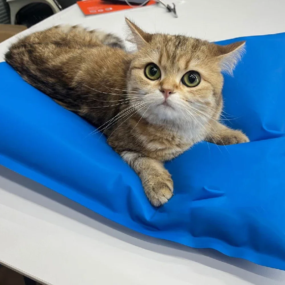 Animal Surgical Accessories Pet Vacuum Positioning Mat Small Examination Veterinary Pad Pet Care Room 100x60cm 60x40cm