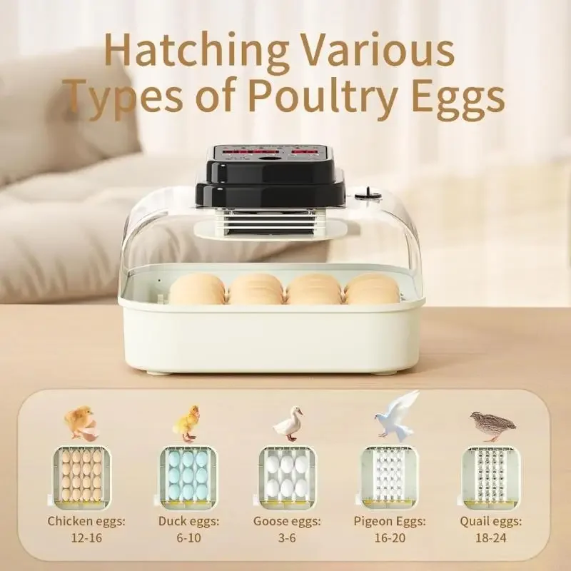 Automatic Dampness Control Oocyte Incubator With Quiet Action And Permanent ABS Building M4YD