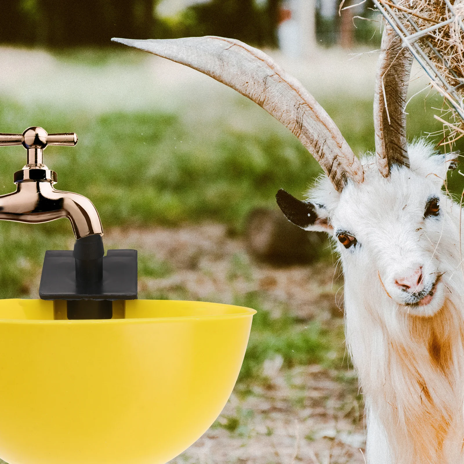 

15Pcs Automatic Chicken Water Bowl Poultry Drinking Feeder Sturdy Environmental Protection Farm Water Dispenser for Duck Goose