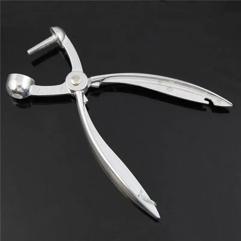 ABMS-2X Silver Aluminum Cherry Pitter Red Dates Olives Pit Easy Removal Core Squeeze Clamp Seeder 18 X 3.5Cm(Silver)