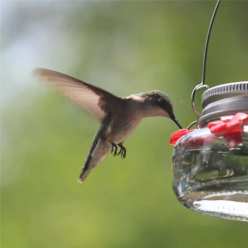 New Arrival Bird Feeder Outdoor Hanging Bird Water Feeders MasonJar Flower Birds Watering Bottle Drinker for Wild Bird Garden