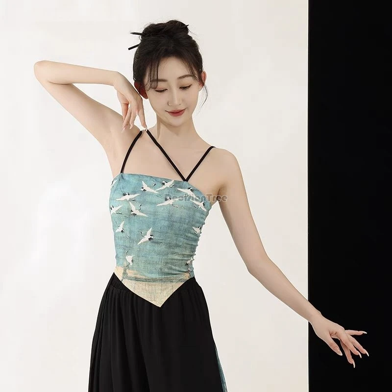 ملابس ممارسة أداء الرقص الكلاسيكي الجديد على الطراز الصيني التقليدي الجديد لعام 2025، غزل أنيق مطبوع عليه عنصر هانفو