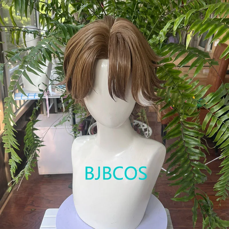

[Styled] Welt Yang Cosplay Wig 30cm Short Brown White Wig Cosplay Anime Cosplay Wigs Heat Resistant Synthetic Wigs