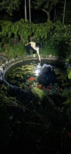 구매후기