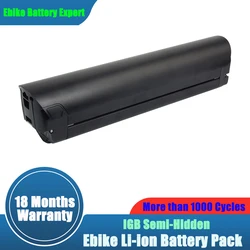 Spare Battery Lithium ion 48V 15Ah 720Wh for 500W Flyer M880 The Everyday Utility Ebike