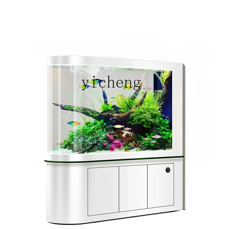 

ZWS large screen partition bullet 2024 new bottom filter ecological self-circulation water-free goldfish tank