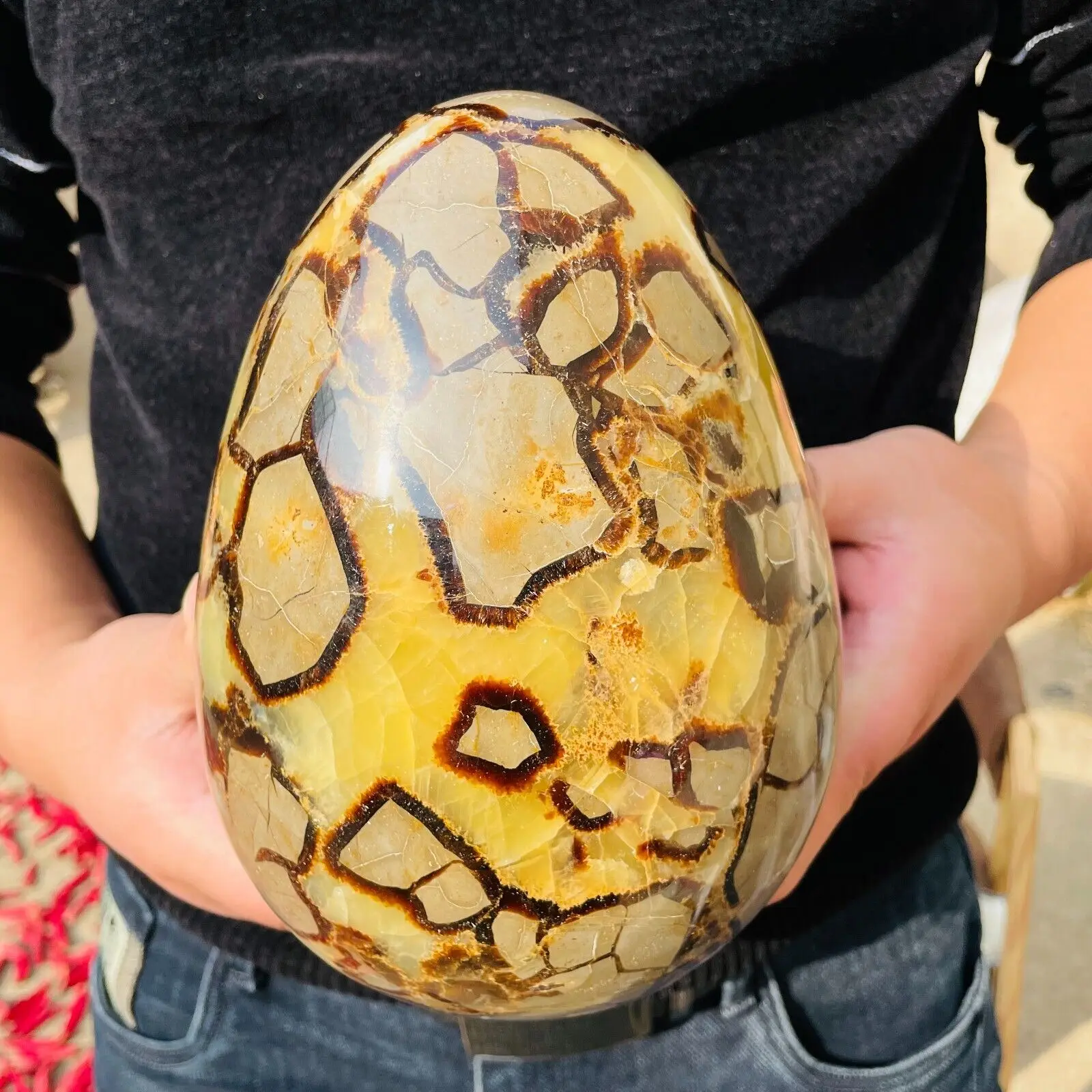 

Huge Natural Turtle Back Stone Carving Dinosaur Eggs, Quartz Crystal Mineral Healing Wealth, Home Office Degaussing Decoration